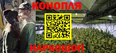 бошки Гатчина