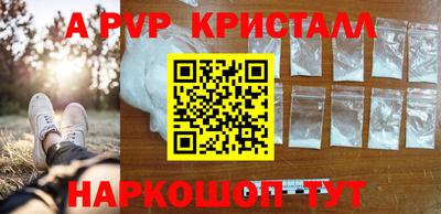 бошки Гай