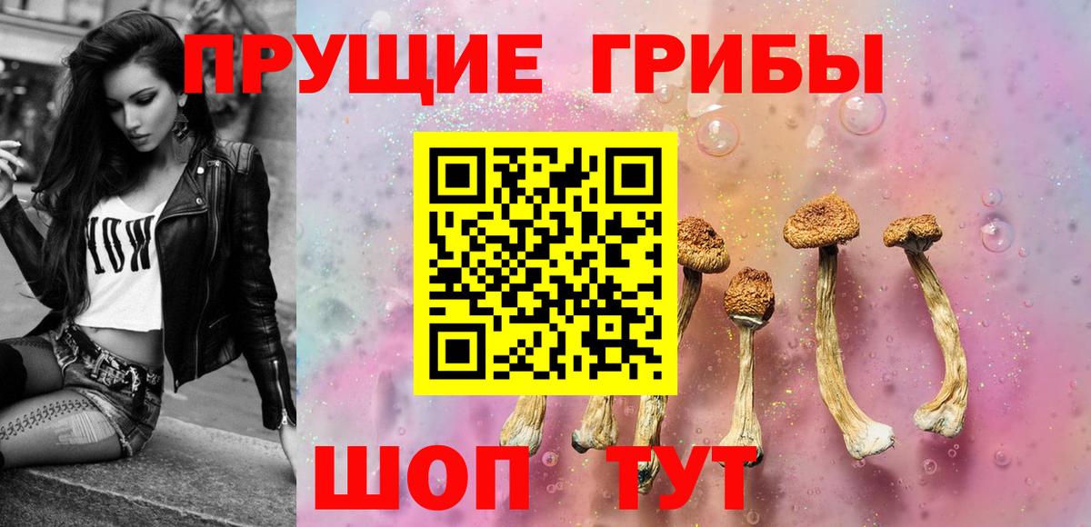 Псилоцибиновые грибы Cubensis Новороссийск