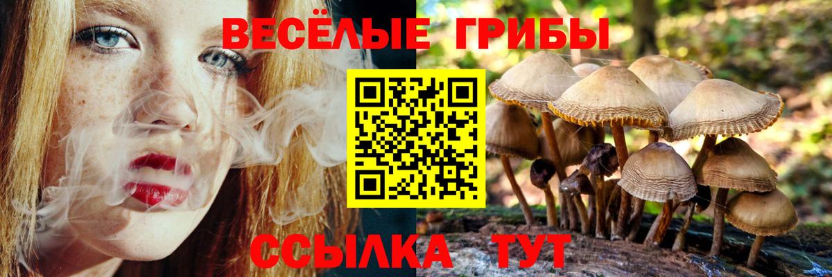 Галлюциногенные грибы мицелий  Галлюциногенные грибы ЛСД  Новороссийск 