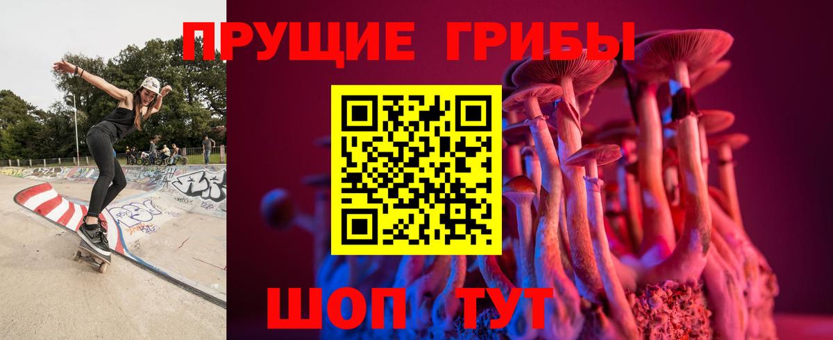 Псилоцибиновые грибы Psilocybe Новороссийск