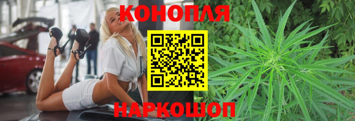 Марихуана индика  Новороссийск  Канабис гибрид 